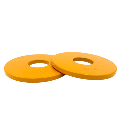1.5kg Steel Fractional Plates Pair