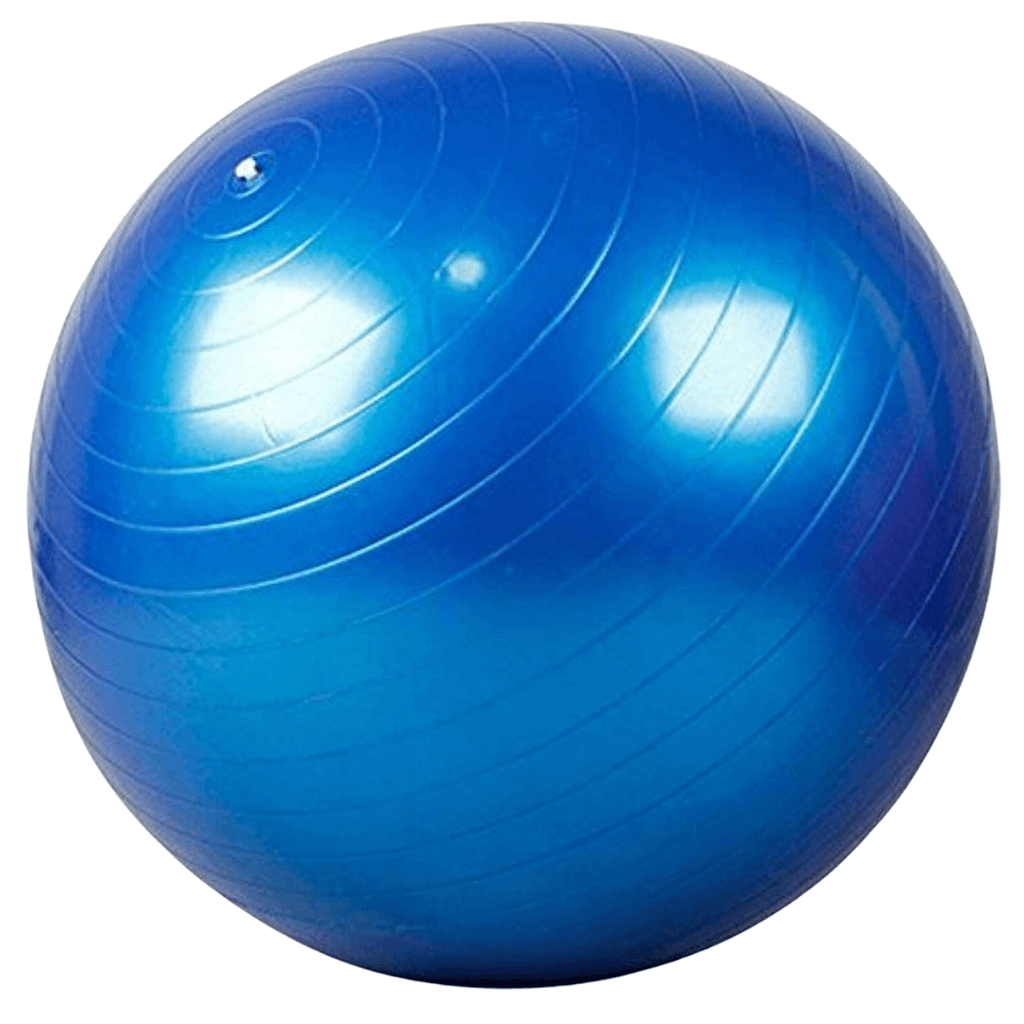 Yoga Exercise Balls Pilates Swiss Ball Anti-burst | INSOURCE