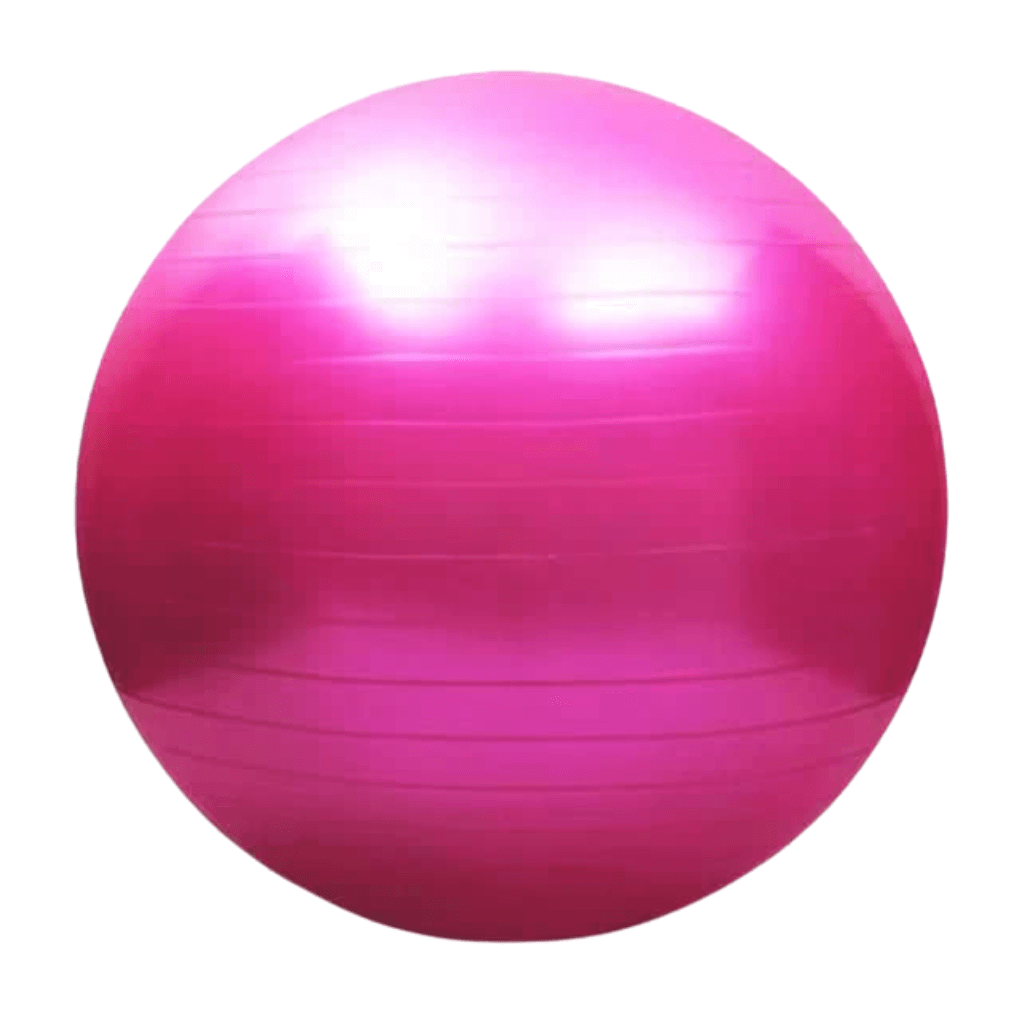 Yoga Exercise Balls Pilates Swiss Ball Anti-burst | INSOURCE