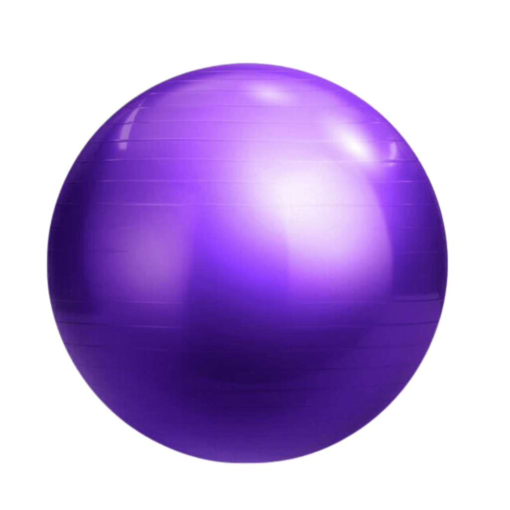 55cm Purple Yoga Exercise Ball Pilates Swiss Ball Anti-burst | INSOURCE