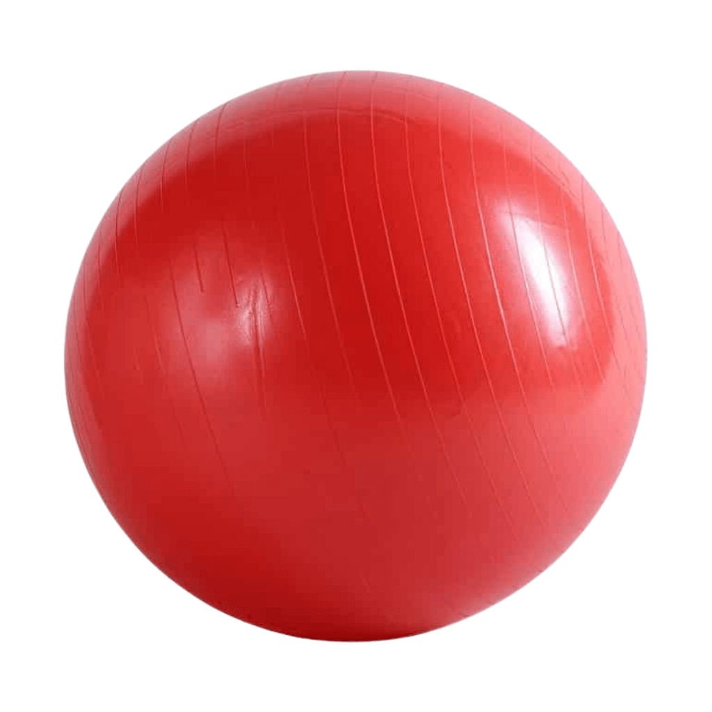 Yoga Exercise Balls Pilates Swiss Ball Anti-burst | INSOURCE