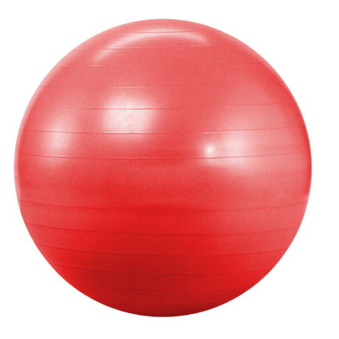 65cm Red Yoga Exercise Ball Pilates Swiss Ball Anti-burst | INSOURCE