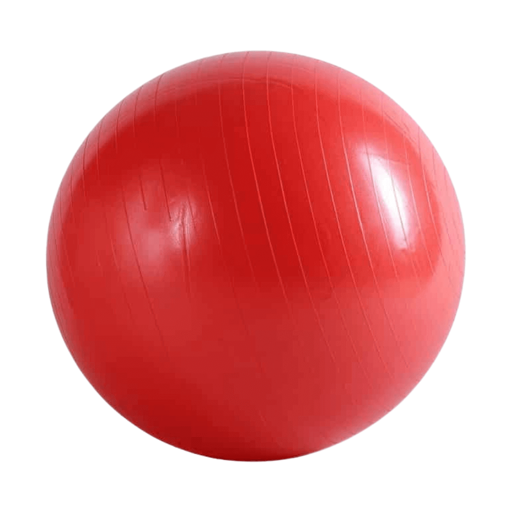 65cm Red Yoga Exercise Ball Pilates Swiss Ball Anti-burst | INSOURCE