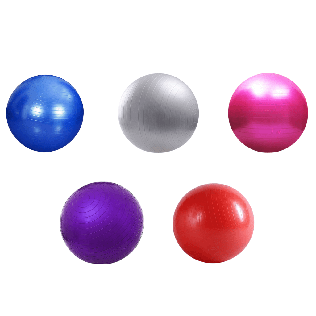 Yoga Exercise Balls Pilates Swiss Ball Anti-burst | INSOURCE