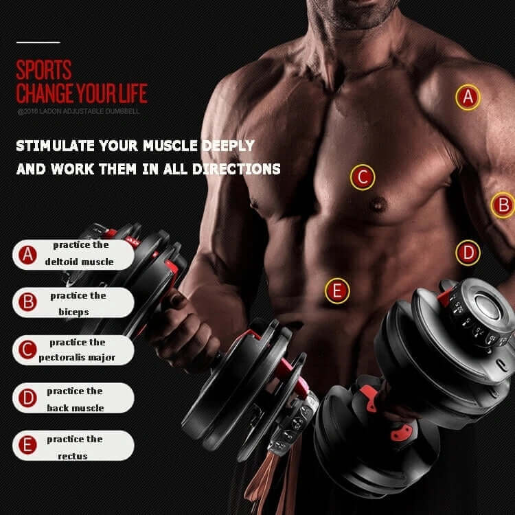 24kg and 40kg Adjustable Dumbbells | Adjustable Dumbbells | INSOURCE
