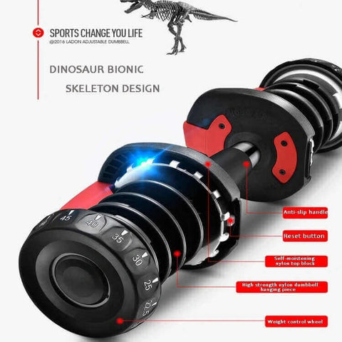 40kg Adjustable Dumbbells (pairs) | Adjustable Dumbbells | INSOURCE