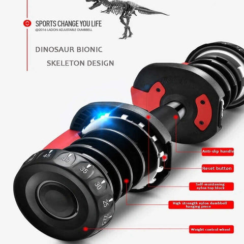 24kg and 40kg Adjustable Dumbbells | Adjustable Dumbbells | INSOURCE