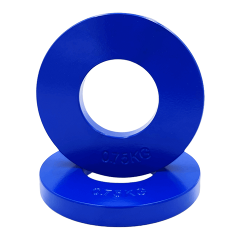 0.75kg Steel Fractional Plates Pair | Fractional Change Plates | INSOURCE
