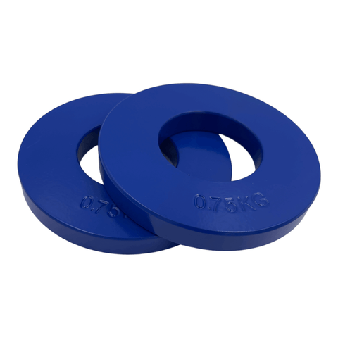0.75kg Steel Fractional Plates Pair | Fractional Change Plates | INSOURCE