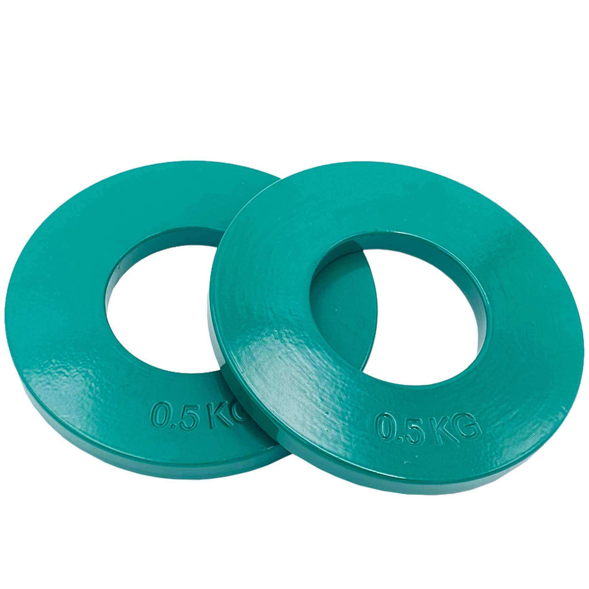 0.5kg Steel Fractional Plates Pair | INSOURCE