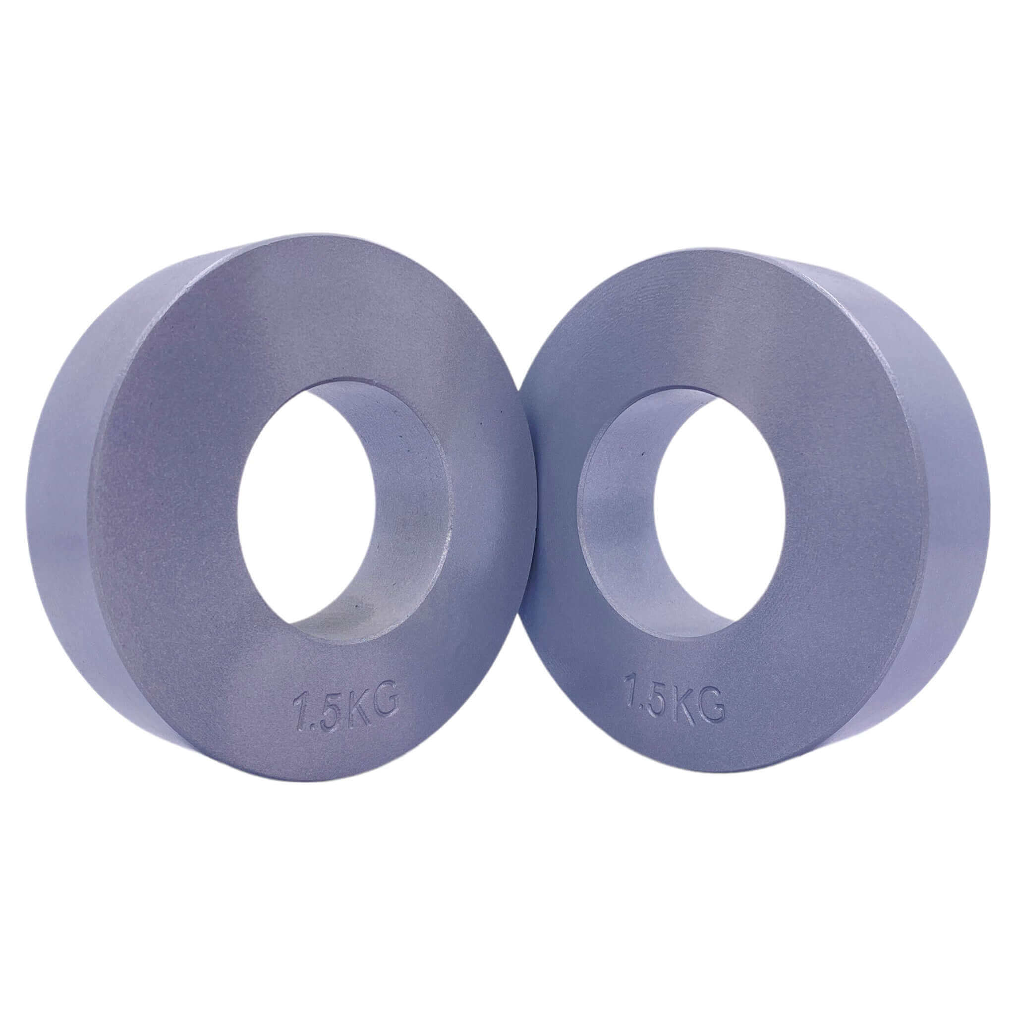 1.5kg Steel Fractional Plates Pair | INSOURCE